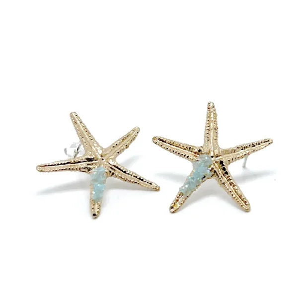 Σκουλαρίκια Αστερίας με Κρυστάλλους S1017m Geode